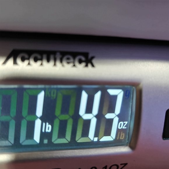 NWT Lauren Ralph Lauren Moto Pants Size 14 Brown Neutral - Picture 7 of 7